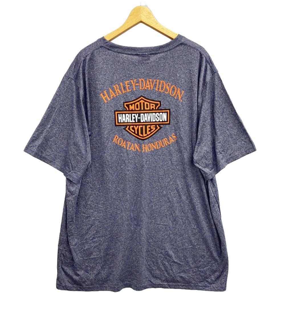 美品 ハーレーダビッドソン 半袖Tシャツ メンズ SIZE 3X-LARGE (3XL) HARLEY DAVIDSON