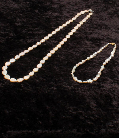 美品 ネックレス SV シェル 2点セット レディース