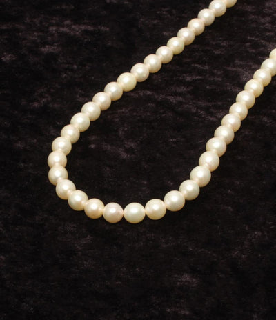 ネックレス SV パール 7.0-7.5mm レディース
