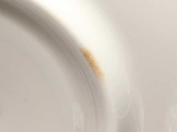 ウエッジウッド カップ＆ソーサー パルナシアン WEDGWOOD