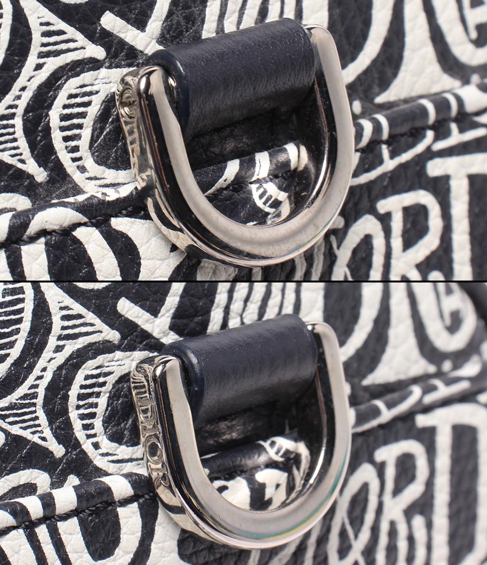 美品 Dior×STUSSY ショルダーバッグ 斜め掛け ROLLER ローラー 1ROPO061ZAD_H04E メンズ ディオール ステューシー