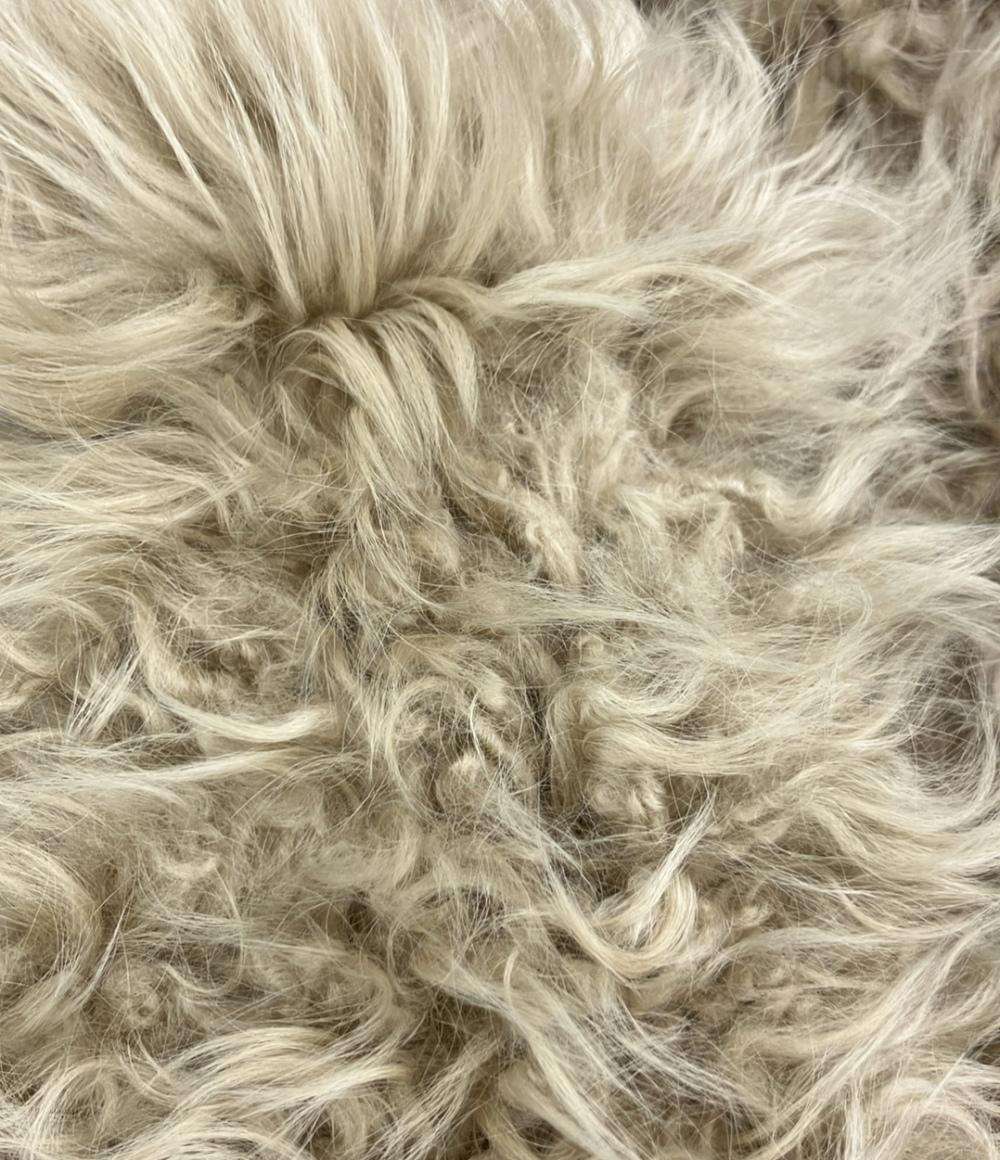 ロンハーマン ファーベスト レディース SIZE XS Ron Herman