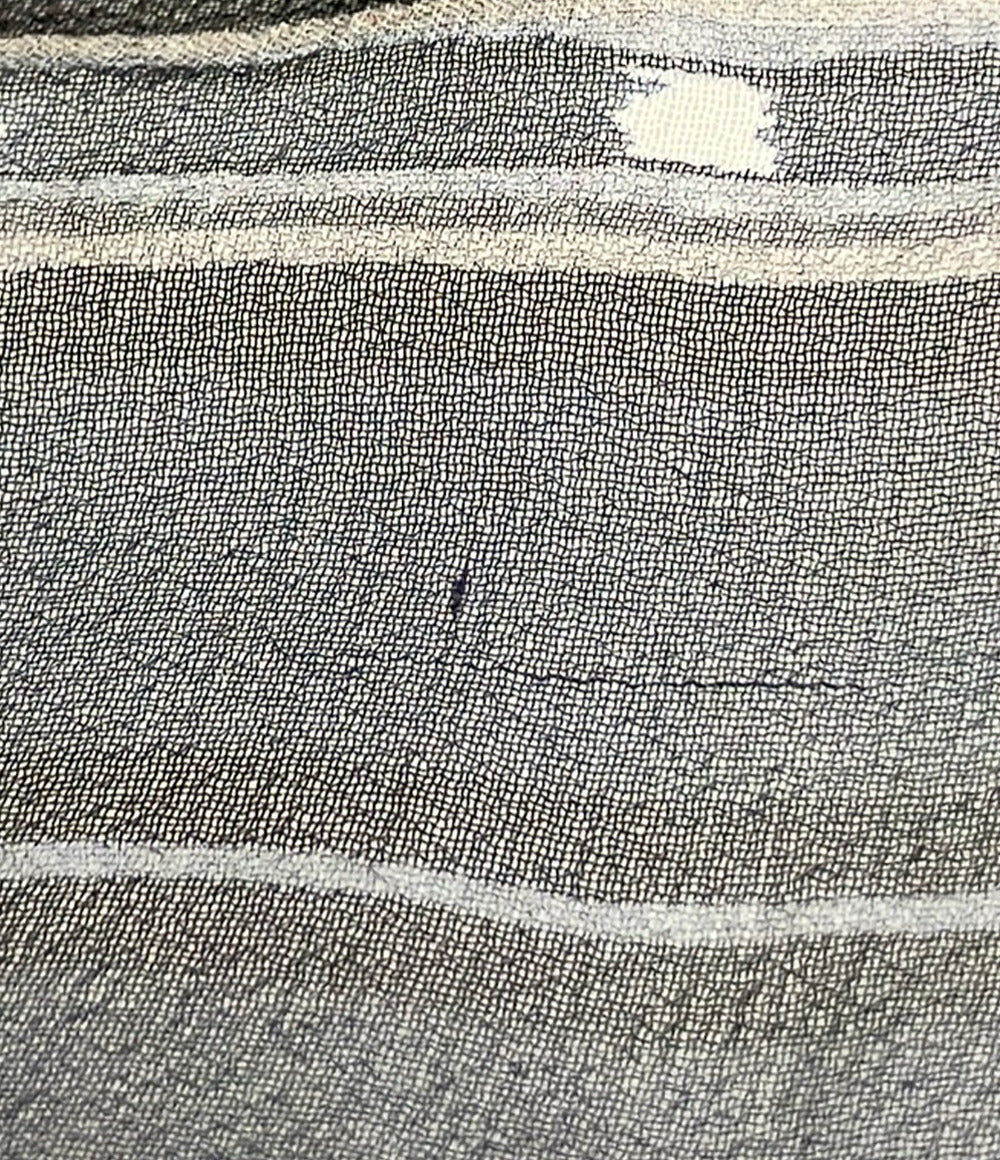 ETRO ストール ペイズリー柄 レディース エトロ