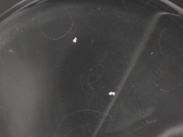 バカラ グラス シャンパンフルート ローハン Baccarat