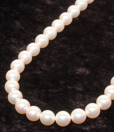 ネックレス パール7.5－8.0mm K14WG レディース