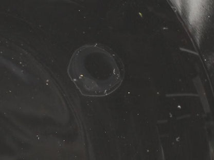 TIFFANY&Co. グラス タンブラー 2点セット ペア TCO ティファニー