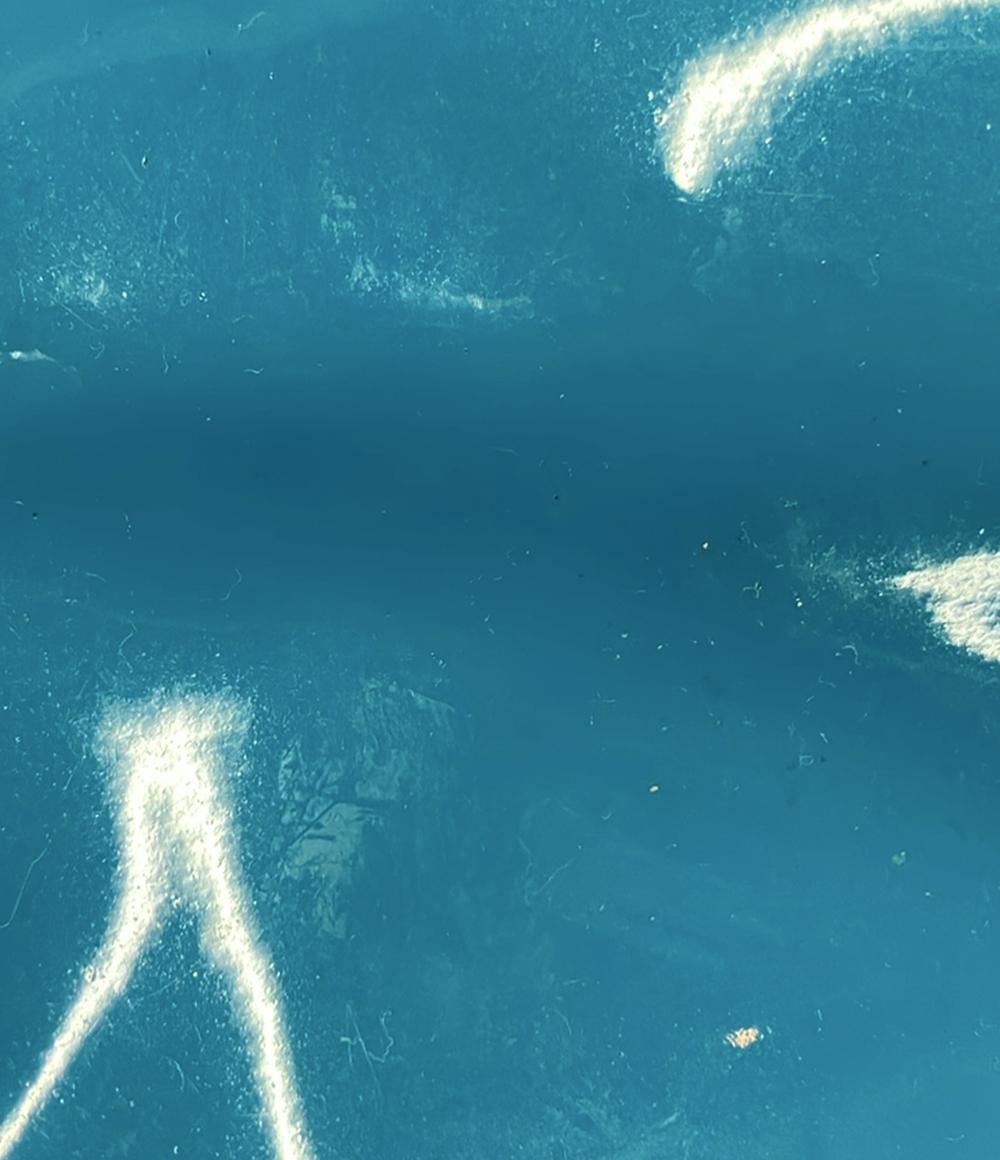 SEE BY CHLOE トートバッグ ショルダーバッグ 肩掛け エナメル ターコイズ レディース シーバイクロエ