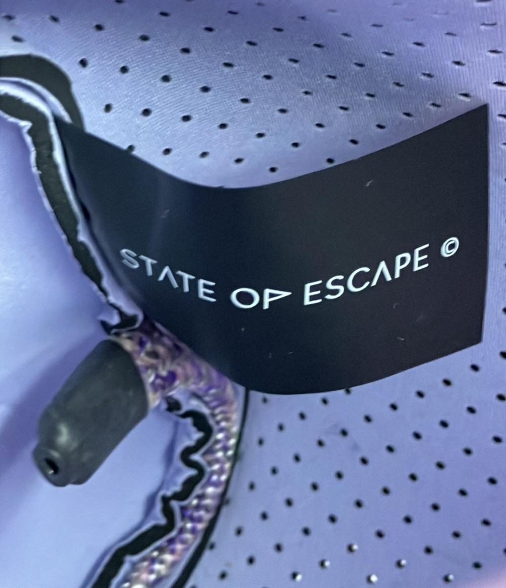 ステートオブエスケープ 2way パンチングハンドバッグ ショルダーバッグ 斜め掛け レディース STATE OF ESCAPE