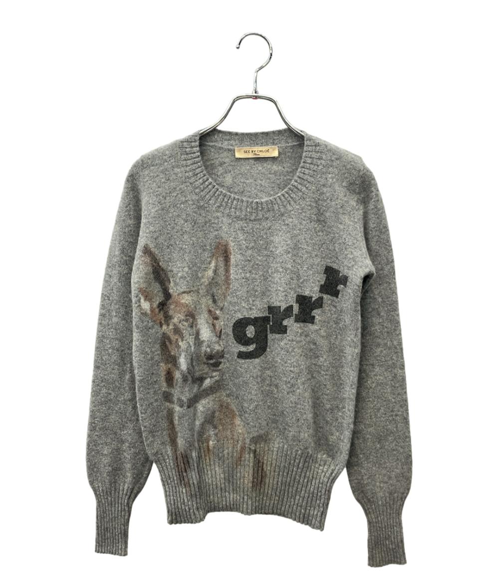 SEE BY CHLOE 長袖 ニット レディース SIZE 40 シーバイクロエ