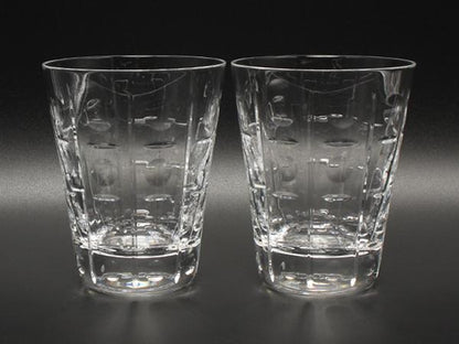 美品 Baccarat グラス タンブラー 2点セット ペア エキノックス バカラ