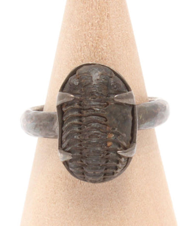 リング 指輪 SV925 メンズ SIZE 16号 STARBORN