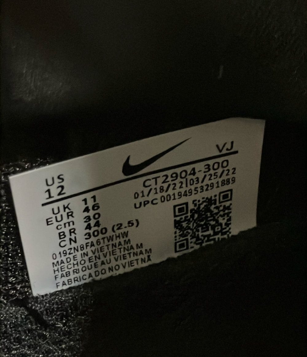 美品 NIKE ローカットスニーカー ACG マウンテン フライ GTX CT2904-300 メンズ SIZE 30.0 ナイキ