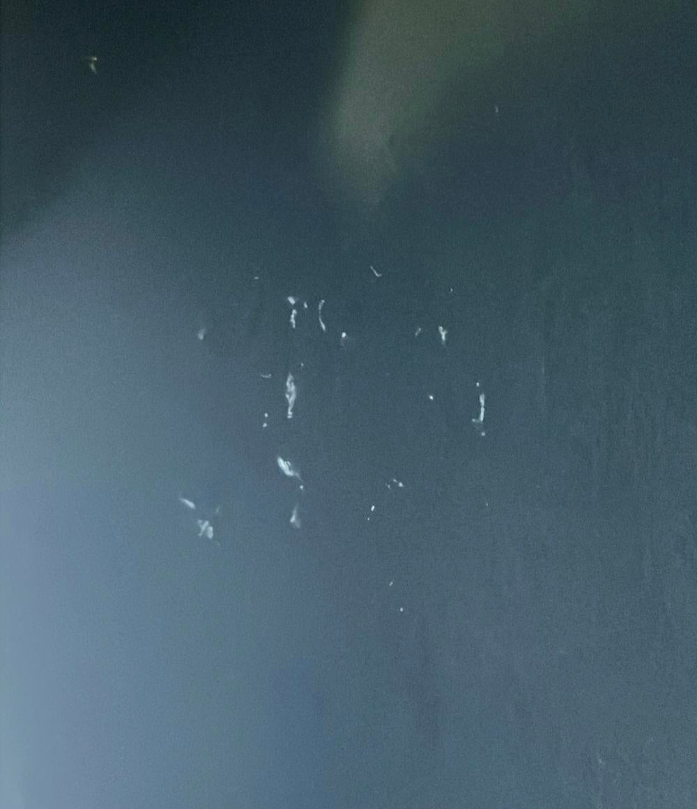 コーチ 2WAY トートバッグ ショルダーバッグ 斜め掛け F48733 レディース COACH