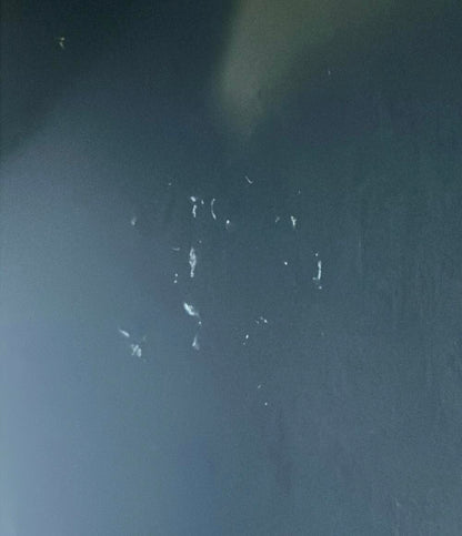 コーチ 2WAY トートバッグ ショルダーバッグ 斜め掛け F48733 レディース COACH