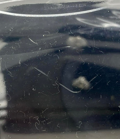 Longchamp Mr.Bags 2WAY ハンドバッグ ショルダーバッグ 斜め掛け 2019限定 クリアバッグ ル プリアージュ Le Pliage Transparent レディース