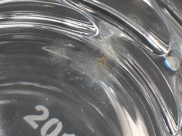 Baccarat イヤータンブラー グラス 2017 ルチア バカラ