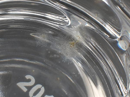 Baccarat イヤータンブラー グラス 2017 ルチア バカラ