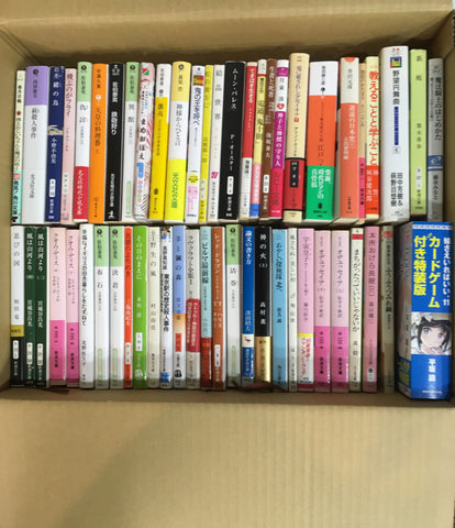 Bunko นวนิยาย 1 กล่อง / 100 เล่มสรุปการขาย 100 ชุดหนังสือ Corporation ซื้อสารพัน